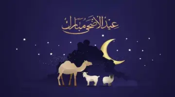 «خاص وحكومي».. موعد وعدد أيام إجازة عيد الأضحى 2026